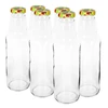 Fles TO voor sap 750ml met dop fi43 - 6st. - 6 