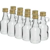 Gallonfles 40ml met dop - 10 stuks ['Galonik', ' gallonfles', ' fles voor alcohol', ' fles voor likeur', ' heupfles fles voor likeur']