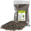 Keramiek voor potplanten, tuinieren en bossen in glas, 4-10 mm, 2L - 4 