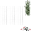Plantensteun - rooster (150cm x 60cm) 3 stuks - 2 