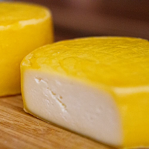 Bacterieculturen voor gouda kaas - 5