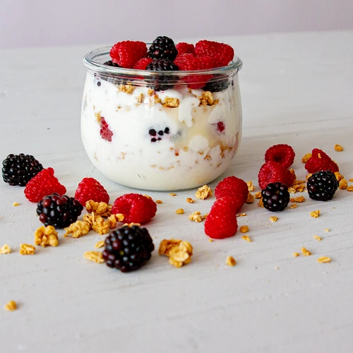Bacterieculturen voor yoghurt - 4