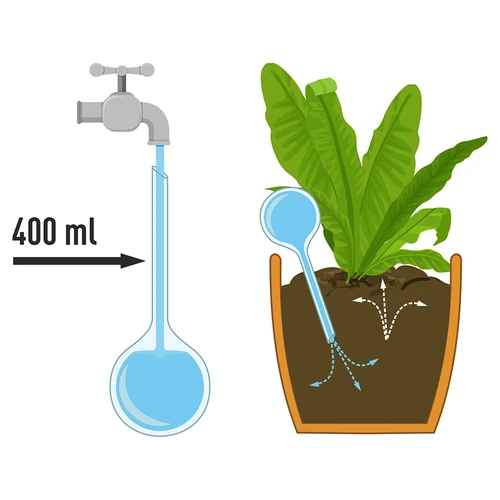 Bewateringsbollen voor planten, amberkleurig transparant, 400 ml, 4 stuks - 4