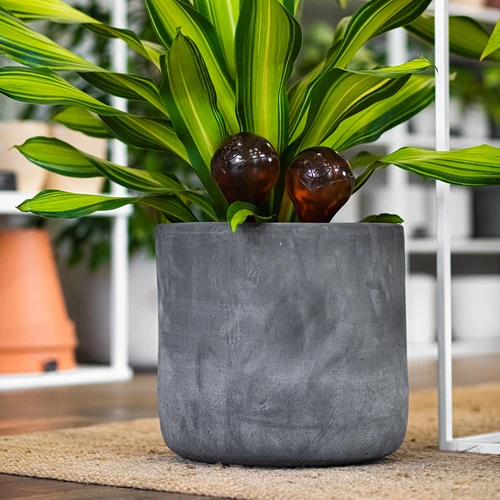 Bewateringsbollen voor planten, amberkleurig transparant, 400 ml, 4 stuks - 12
