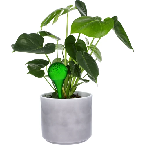 Bewateringsbollen voor planten, groen transparant, 400 ml, 2 stuks - 5