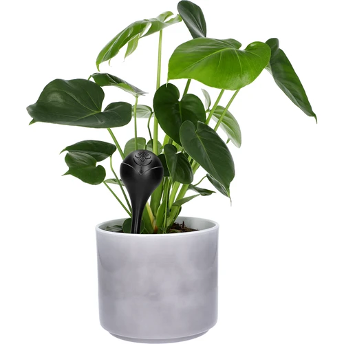 Bewateringsbollen voor planten, matzwart, 400 ml, 2 stuks - 7