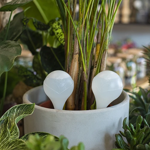 Bewateringsbollen voor planten, witte halfdoorzichtige, 400 ml, 4 stuks - 8