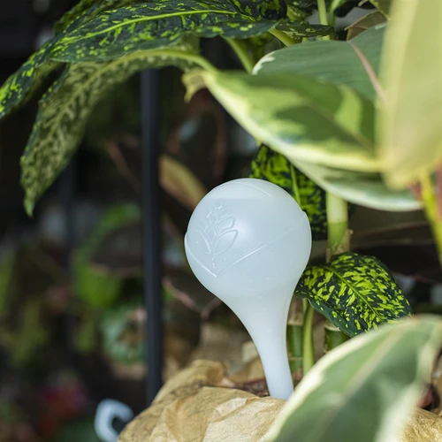 Bewateringsbollen voor planten, witte halfdoorzichtige, 400 ml, 4 stuks - 10