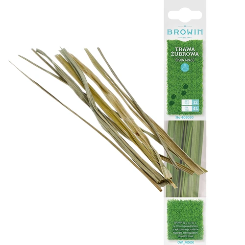 Bieslookgras - Geurige bison 12 stuks / 4 L