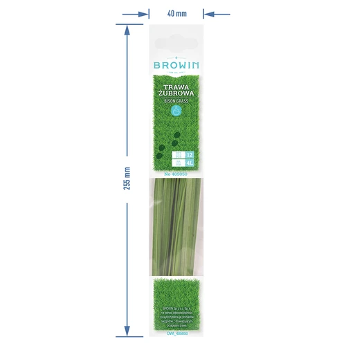 Bieslookgras - Geurige bison 12 stuks / 4 L - 7