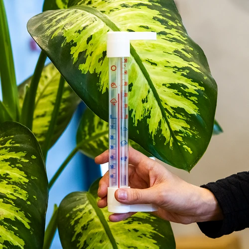 Buitenthermometer met transparante schaal (-70°C tot +50°C) 23cm mix - 3