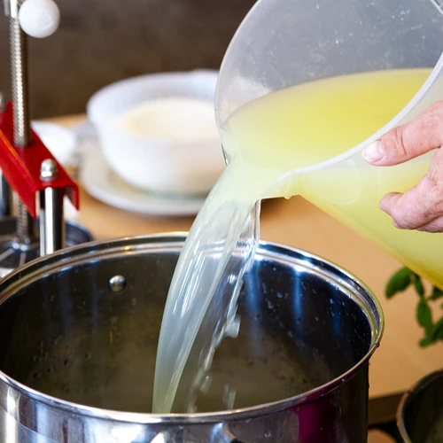 Calciumchloride voor kaas - 100 g - 10