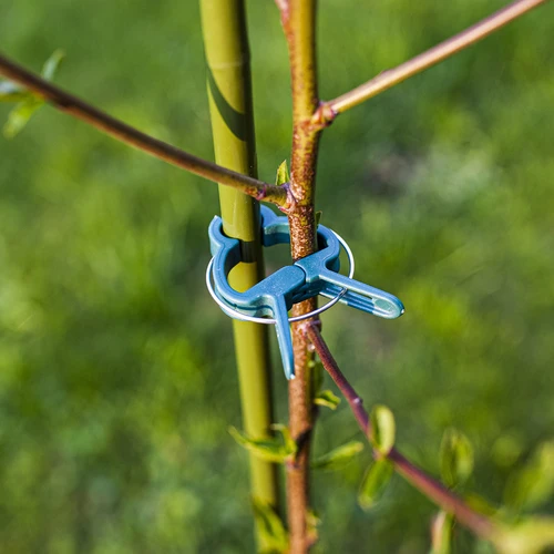 Clips voor het vastmaken van planten 20 stuks (8x groot/12x klein) - 7