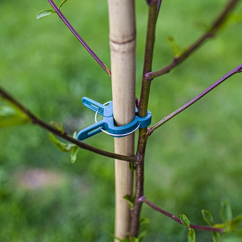 Clips voor het vastmaken van planten 20 stuks (8x groot/12x klein) - 8