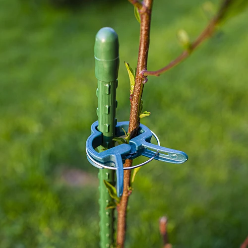 Clips voor het vastmaken van planten 20 stuks (8x groot/12x klein) - 9
