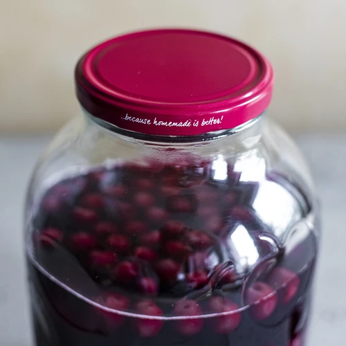 Deksel fi 100 bordeaux - 10 stuks - 6