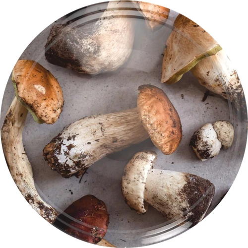 Deksel fi 66 paddenstoelen 2 - 10st.