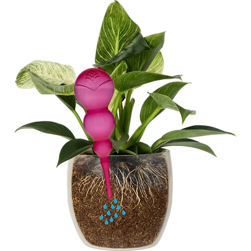 Drievoudige bewateringsbal (driekamer), transparant roze, 600 ml - 3