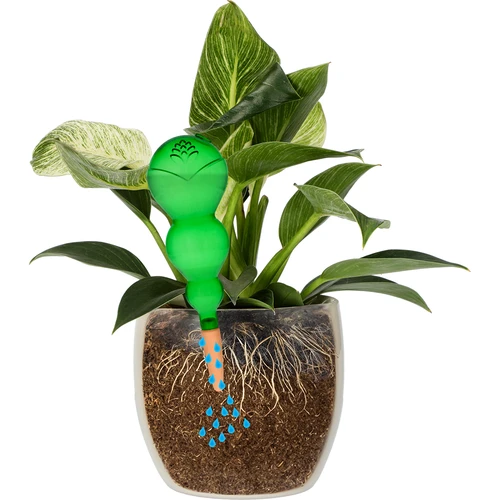 Drievoudige bewateringsbol (driekamer), transparant groen met keramische voet, 600ml - 3