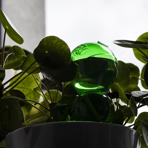 Drievoudige bewateringsbol (driekamer), transparant groen met keramische voet, 600ml - 7