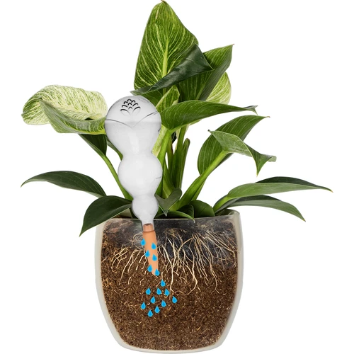 Drievoudige bewateringsbol (driekamer), transparant kleurloos, met keramische voet, 600 ml - 3