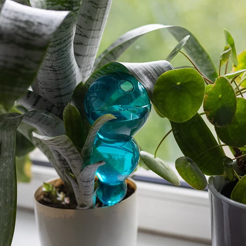 Drievoudige gietbal (driekamer), transparant blauw, 600 ml - 6