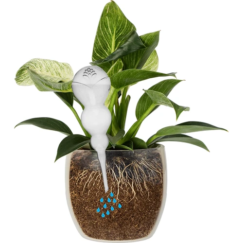 Drievoudige gietbal (driekamer), transparant kleurloos, 600 ml - 3