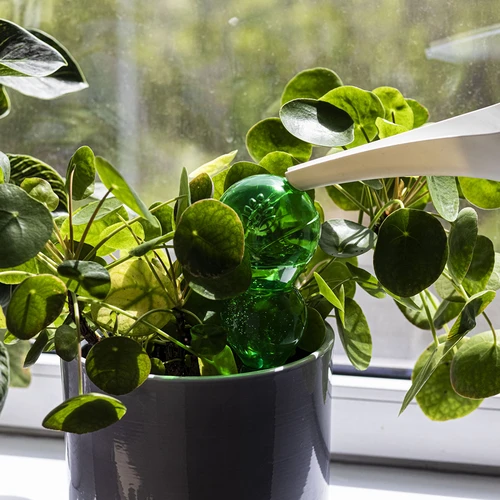 Drievoudige gietersbol (driekamer), transparant groen, 600 ml - 6