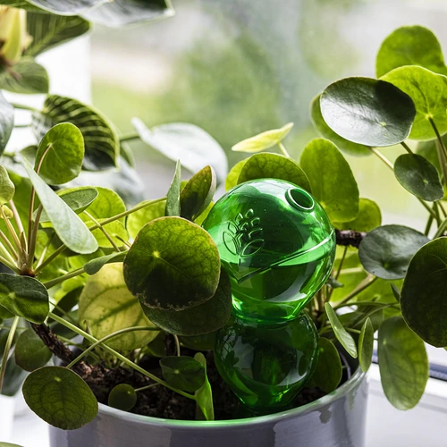 Drievoudige gietersbol (driekamer), transparant groen, 600 ml - 7