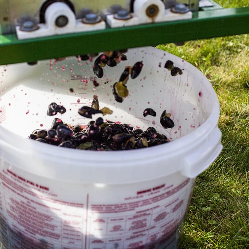 Fermentatiecontainer 30 L met deksel en kraan - 16