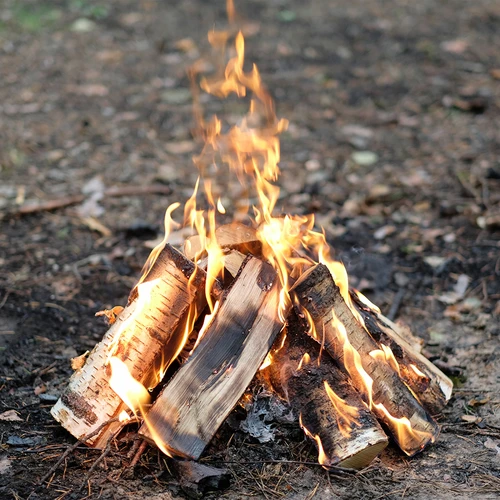 Gelbrandstof voor rookovens 1 L - 9