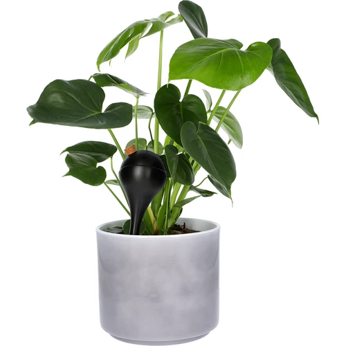 Gietballen voor planten, matzwart, met kurk, 400ml, 4 stuks - 7