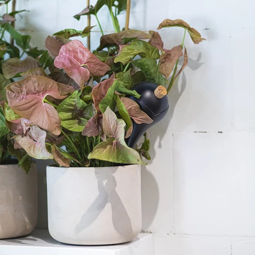Gietballen voor planten, matzwart, met kurk, 400ml, 4 stuks - 10