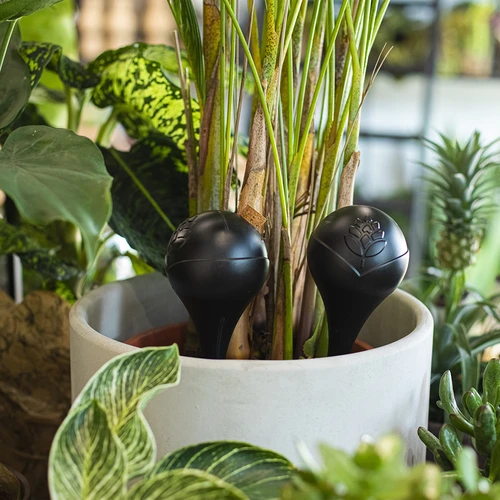 Gietballen voor planten, matzwart, met kurk, 400ml, 4 stuks - 9