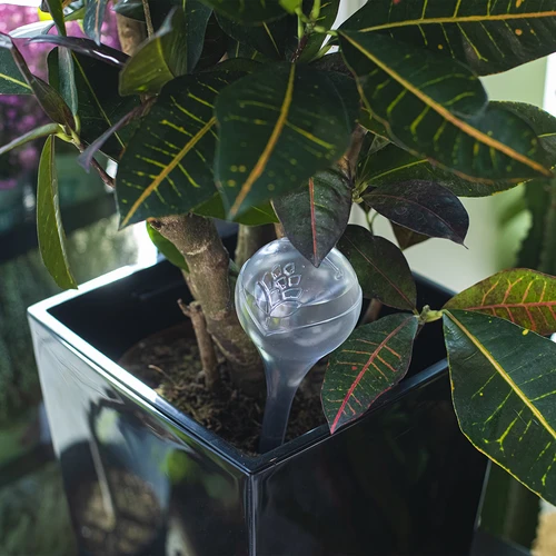 Gietballen voor planten, transparant, 400 ml, 2 stuks - 10