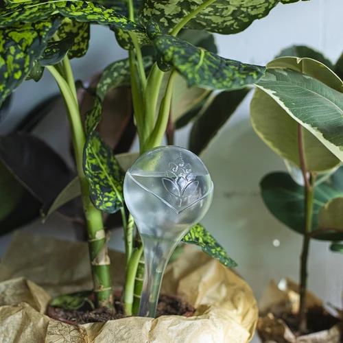 Gietballen voor planten, transparant, 400 ml, 2 stuks - 11