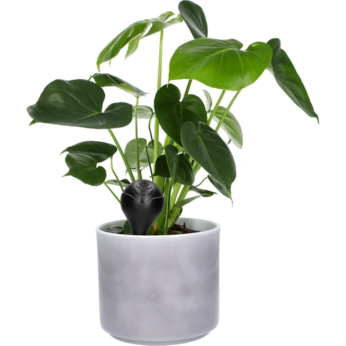 Gieter voor planten, matzwart met keramische voet, 400ml - 7