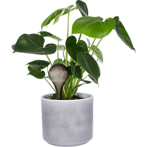 Gieters voor planten, zwart transparant, 400 ml, 2 stuks - 7