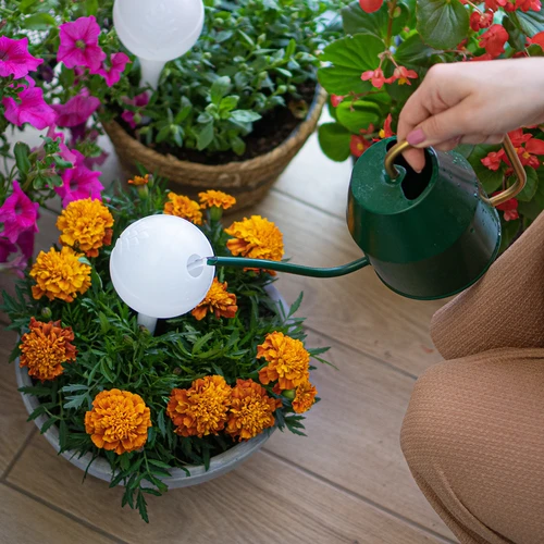 Irrigatieballen voor planten, wit doorschijnend met kurk, 400ml, 4 stuks - 10