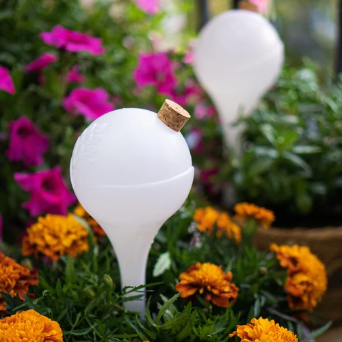 Irrigatieballen voor planten, wit doorschijnend met kurk, 400ml, 4 stuks - 11