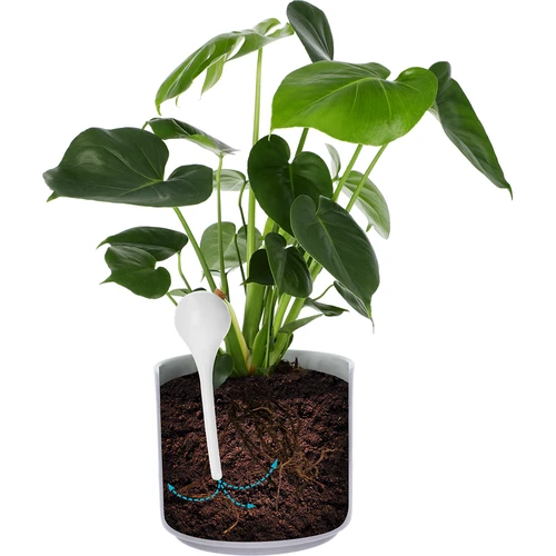 Irrigatieballen voor planten, wit doorschijnend met kurk, 400ml, 4 stuks - 6