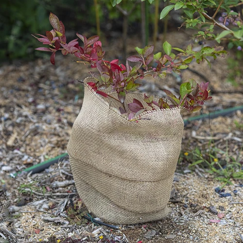 Jute band 10 cm/5 m - 6