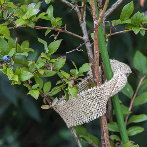 Jute band 5 cm / 8 m - 6