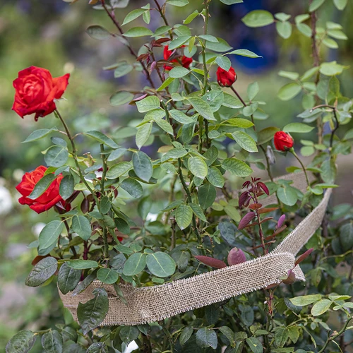 Jute band 5 cm / 8 m - 7