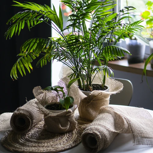 Jute band 5 cm / 8 m - 8