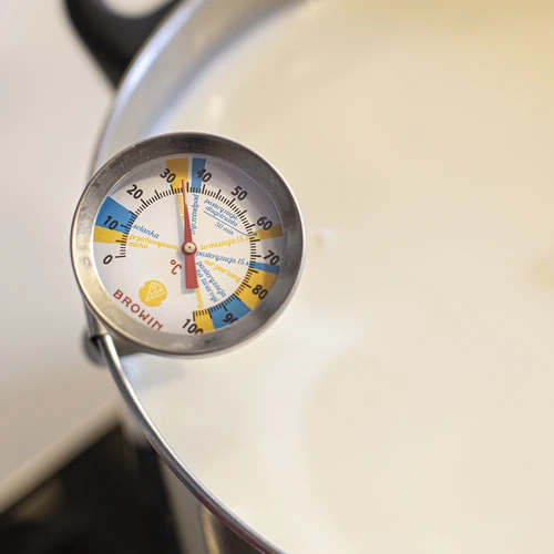 Kaastemperatuurmeter (0°C tot +100°C) 19,8cm - 3