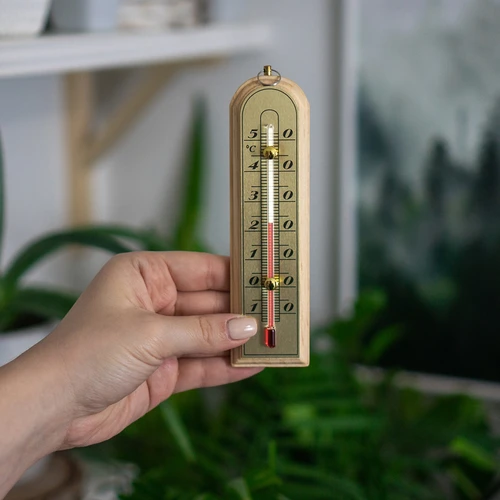 Kamertemperatuurmeter met gouden schaal (-10°C tot +50°C) 16cm - 3