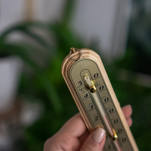 Kamertemperatuurmeter met gouden schaal (-10°C tot +50°C) 16cm - 4