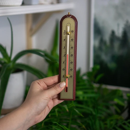 Kamertemperatuurmeter met gouden schaal (-10°C tot +50°C) 22cm, mix - 3