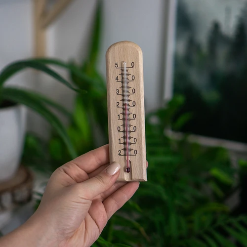 Kamertemperatuurmeter met patroon (-20°C tot +50°C) 15cm - 4